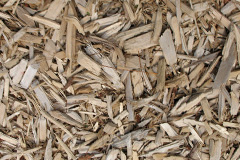 biomass boilers Ellingstring